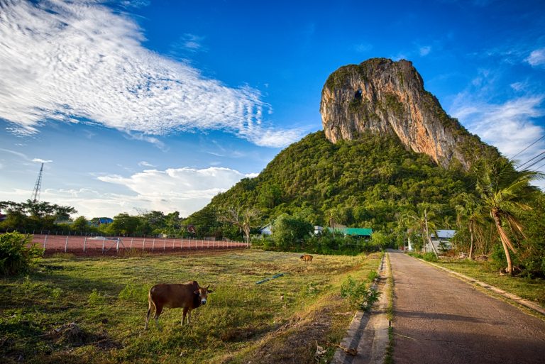 พัทลุง สัมผัสเสน่ห์: เมืองแห่งธรรมชาติ วัฒนธรรม และวิถีชีวิตที่ไม่เร่งรีบ